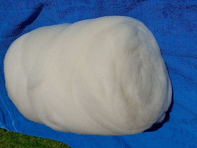 Kardenband Leine weiß